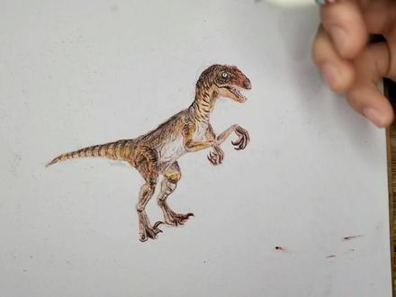 抓一只迅猛龙#画画