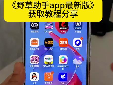 野草助手app最新版下载安装教程#野草助手怎么下载#野草助手使用教程#野草助手最新版#野草助手电视版