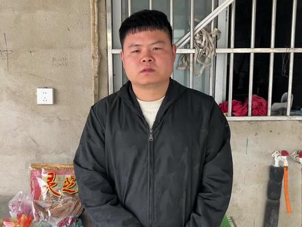 肿瘤金毛病情开始好转,小院却陷入经济危机,救助真的太难了