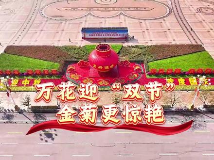 潍坊:万花迎“双节” 金菊更惊艳