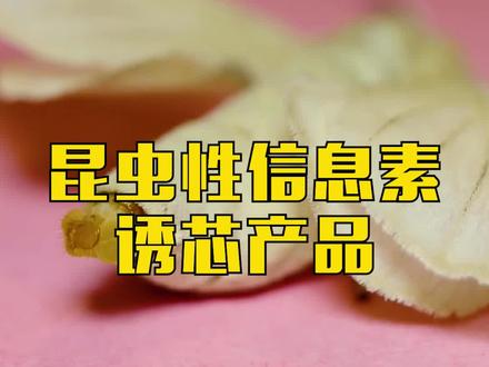 昆虫性信息素产品 #农业 #病害 #虫害 #虫害防治 #病害防治 @抖音小助手