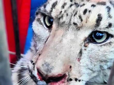 全程实拍!库木塔格沙漠真实救助记录。
在沙漠,专业比热情更重要。
黑哥常年驻守沙漠,提供正规安全保障与应急协助,
为每一位深入沙漠的朋友,保驾护航。#沙漠老黑哥#靠谱沙漠领路人#沙漠守护者#敬畏生命沙漠行#沙漠专业领队老黑哥