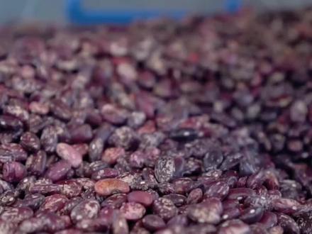 跃岭股份近期走势分析与思考