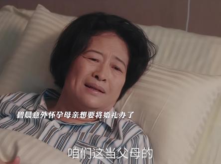 碧晨意外怀孕,许知冬母亲想要不给碧晨家彩礼