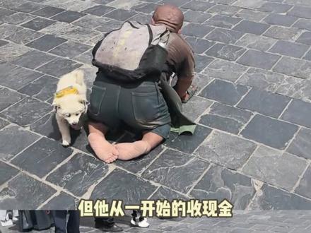 万物皆有灵,不爱请不要伤害 #朝圣者 #小狗 #西藏