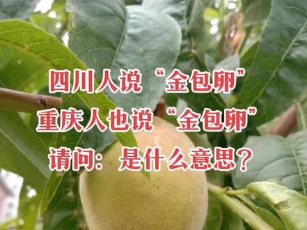 我说这个桃不错,人家接下来就说:你这玩意儿是金包卵🤪