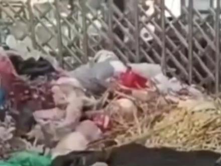 垃圾处理厂设备突发故障
致小区垃圾堆积如山
城管局:设备已修复 正加快处理