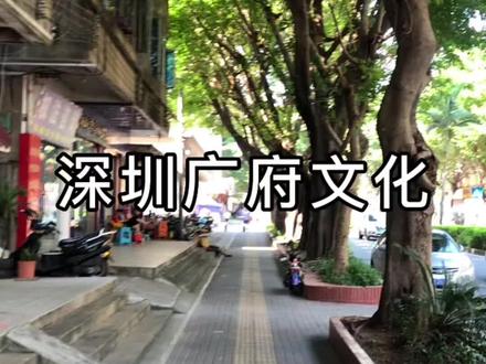 深圳的广府文化为什么越来越少?#我的梦中情电 @京东家电 #深圳 #广府文化 #vlog日常