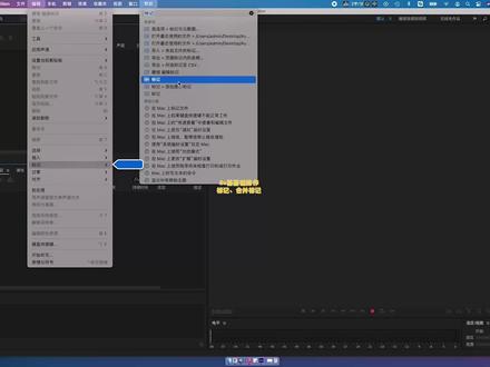 标记、标记的使用、标记检查
#au #有声书