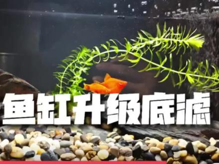 避雷,避雷呀#小米鱼缸 #垃圾底滤