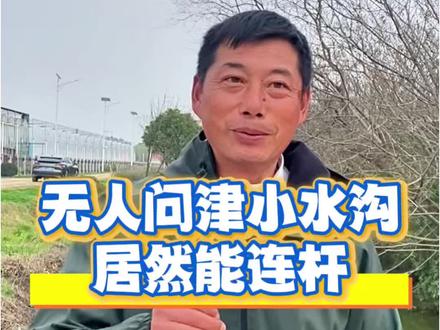 无人问津不起眼的小水沟,居然连杆鲫鱼 #出来钓鱼了喂 #中逵国货渔具之光 #创作灵感 #今晚吃鱼二代 #中逵太白二代 @中逵官方旗舰店