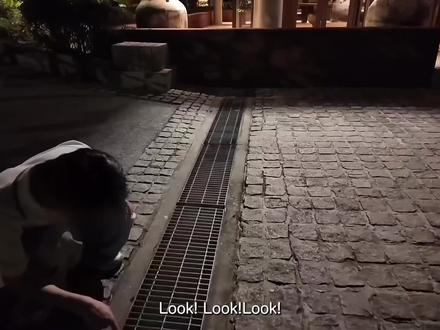 🌸🐱
嗑嗑嗑嗑到昏天暗地#花臂凉太 #hiroaki #可爱到爆炸💥 @抖音小助手 @抖音创作小助手 @DOU+小助手