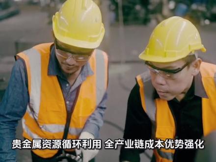 贵研铂业业务发展最新解读