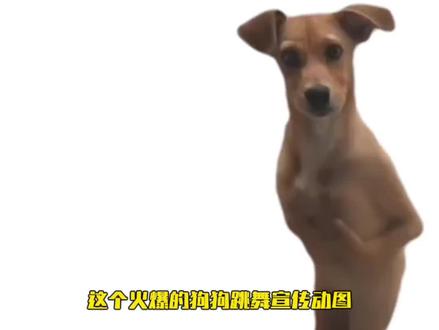 搞怪狗狗宣传动图 超简单,求素材,怎么搜素材,素材哪里找,分享素材,艾特那个想学剪辑的人,发给你那手残的朋友,评论区告诉你,教程来啦,看一遍就会,有手就行,保姆级教程,一学就会,学不会来找我,拿走不谢#剪映#00后运营一言不合就发疯 #自媒体迷惑行为