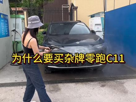 你会花一二十万买一辆杂牌车吗?国产=杂牌?#零跑c11 #新能源汽车 #零跑汽车 #dou是好车
