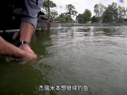 杰瑞米瓦德在东南亚寻找巨型河怪 #河中巨怪 #杰瑞米瓦德 #钓鱼 #巨型鱼