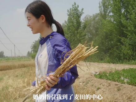 这条泥泞的小路又短又长,这片麦田通往人世间每个角落,珍惜粮食,吾辈定会铭记于心#vlog日常 #vlog
