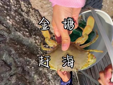 #赶海 #舟山 #金塘 金塘赶海地址快看这里‼️更有保姆级教学看涨退潮时间哦~