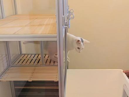 新款猫砂柜制作教程#家有宠物 #猫砂柜 #铝型材