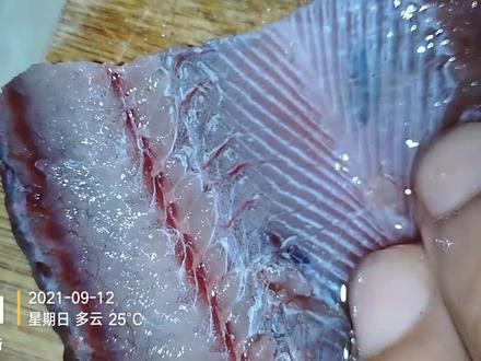 解剖黄鳝肉,寄生虫太多了