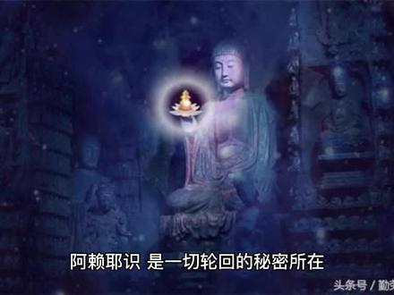 阿赖耶识 轮回的秘密#修行 #传统文化 #一尘丹道河洛文化