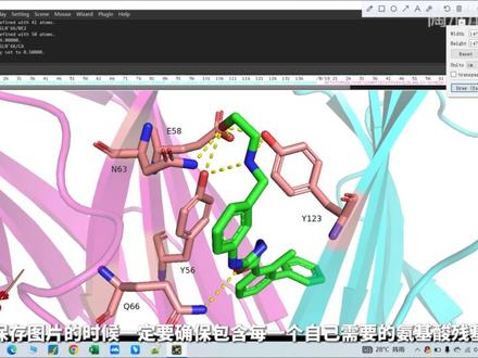 【陶术小课堂】PyMol作图教程
#药物筛选 #CADD