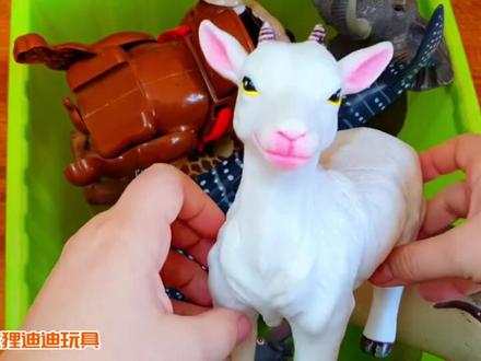 大象、狮子、老虎、北极熊,10种动物是怎么叫的呢?