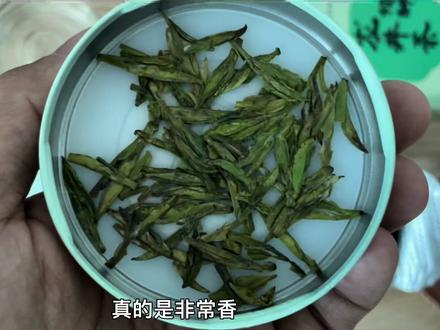 试喝一款千元级别的明前特级龙井茶,这口春茶非常清爽,豆香扑鼻 #每日一茶 #龙井茶 #绿茶 #泡茶 #茶叶