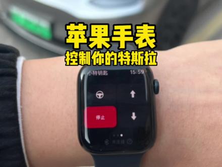 #特斯拉 Apple Watch 苹果手表代替蓝牙钥匙,控制你的特斯拉~#model3 #modely #新能源汽车 #dou是好车