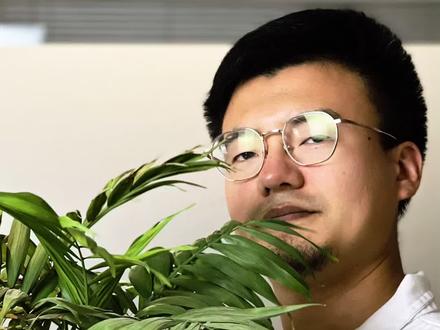 平价又颜值高的袖珍椰子,结满了可爱的小果实,竟然长这样!#袖珍椰子 #袖珍椰子花开了 #园艺