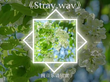 #Stray.wav #纯音乐 #听音乐
