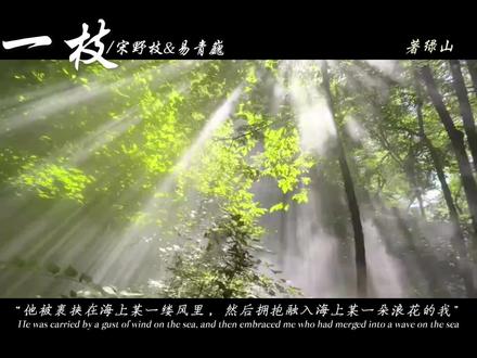 “太阳明天还会升起,我还想要再见到你”#一枝