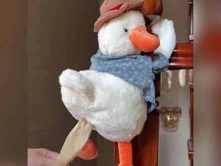 盘点老公买的奇葩物品 #搞笑 #奇葩物品 #奇葩玩具