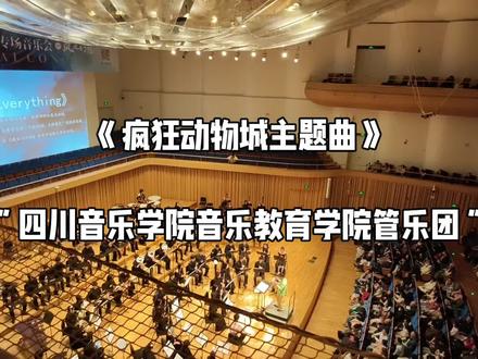 《疯狂动物城主题曲》 好好听!!! 川音音乐教育学院管乐团好厉害!!! #疯狂动物城主题曲 #疯狂动物城2 #管乐团 #四川音乐学院