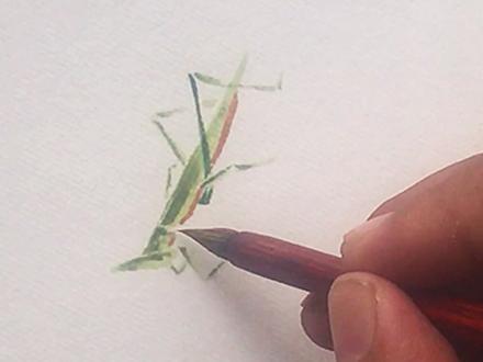 中国画:蚱蜢的画法,值得关注收藏