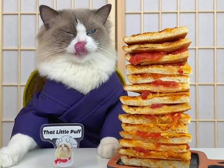 人送外号,“功夫厨猫”正是在下#喵大厨puff #萌宠出道计划 #在家做美食