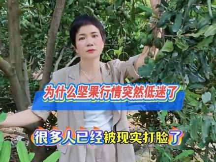 有夏威夷果的你该如何选择?