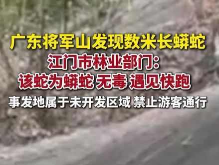 广东将军山发现数米长蟒蛇,林业部门:遇到快走,系未开发区域。