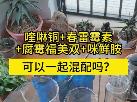 喹啉铜、春雷霉素、腐霉福美双、咪鲜胺能不能一起混配?#传播农业小知识 #分享农业知识帮农民增产增收 #农技知识分享 #关注我每天为你分享更多农业知识