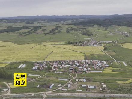 质疑林地发包 查档案遇难题