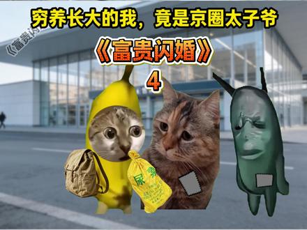 《富贵闪婚》第四集#猫meme #猫meme小剧场