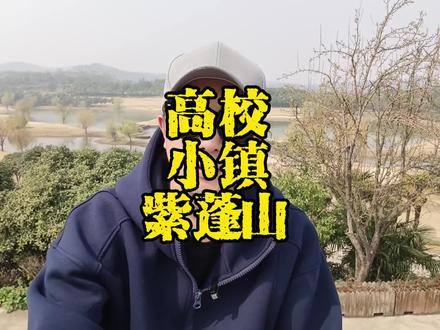 聊一聊高校集中的地方 #肥西 #紫蓬山 #大学城 #产业