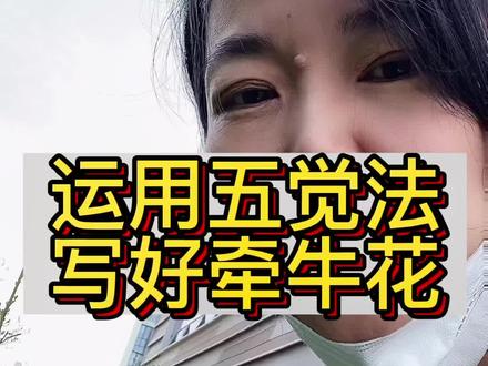 路边偶遇牵牛花,五觉法写写它。范文在最后。#程老师玩作文