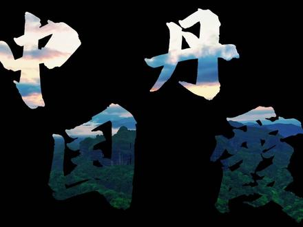 全国高校商业精英挑战赛全国总决赛一等奖#