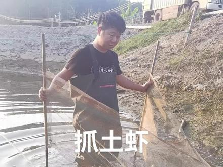 放地笼抓土虾,一会看看能抓多少#南美白对虾 #现场实拍 #抖音助农 #冬棚养虾 #养虾小哥