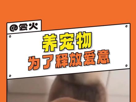 养#宠物 的意义是:能够随时随地释放爱意#治愈