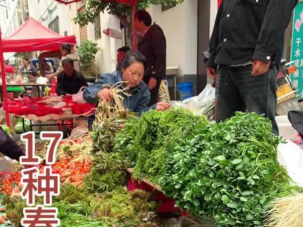 春天了,接下来云南人要吃的野菜是这些,来看看你认识几个?#云南#盘点#记录真实生活 #野菜#农村生活