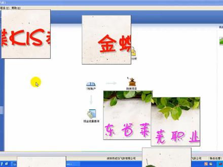 金蝶KIS(第60讲)-现金流量表查询