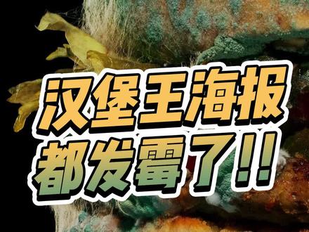 汉堡王的海报设计都发霉了?!真是搞事王! #设计 #创意 #平面设计 #海报设计 #艺术 #汉堡王