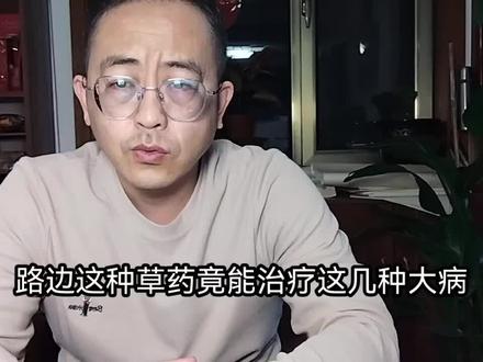 路边的野草--仙鹤草